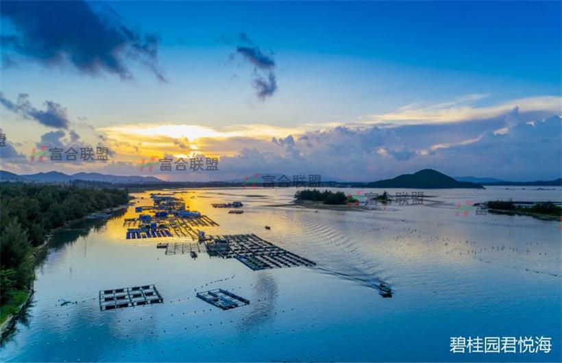 夕阳.jpg 