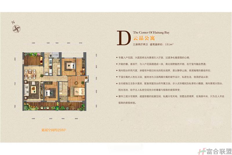D户型 