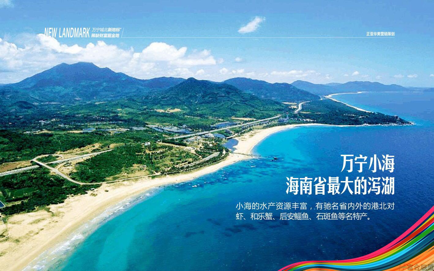 鸟瞰图 