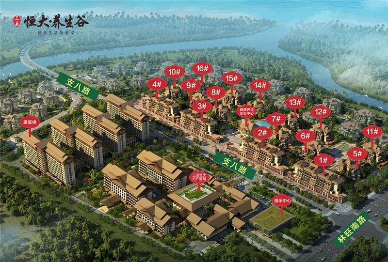 鸟瞰图1 