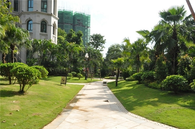 恒大御景湾小区绿化实景.jpg
