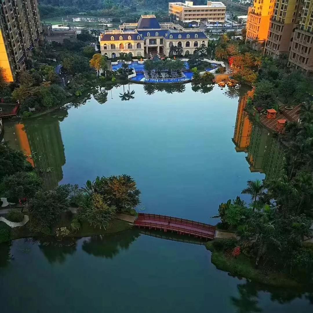 1546679274864025.jpg
